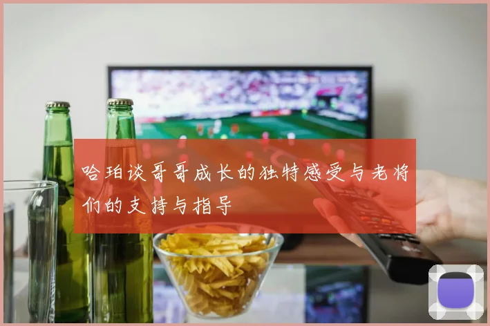 哈珀谈哥哥成长的独特感受与老将们的支持与指导